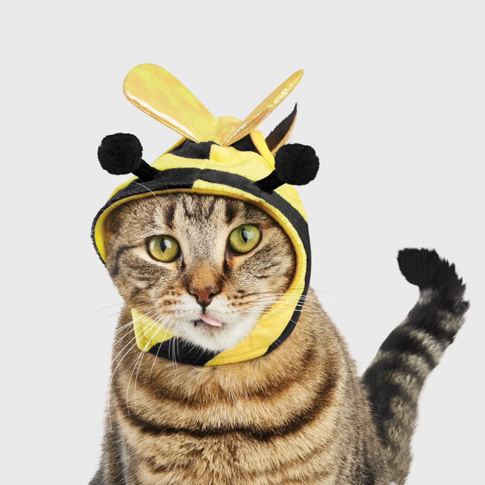 Halloween nwt Bee Cat Costume -
One Size Fits Most